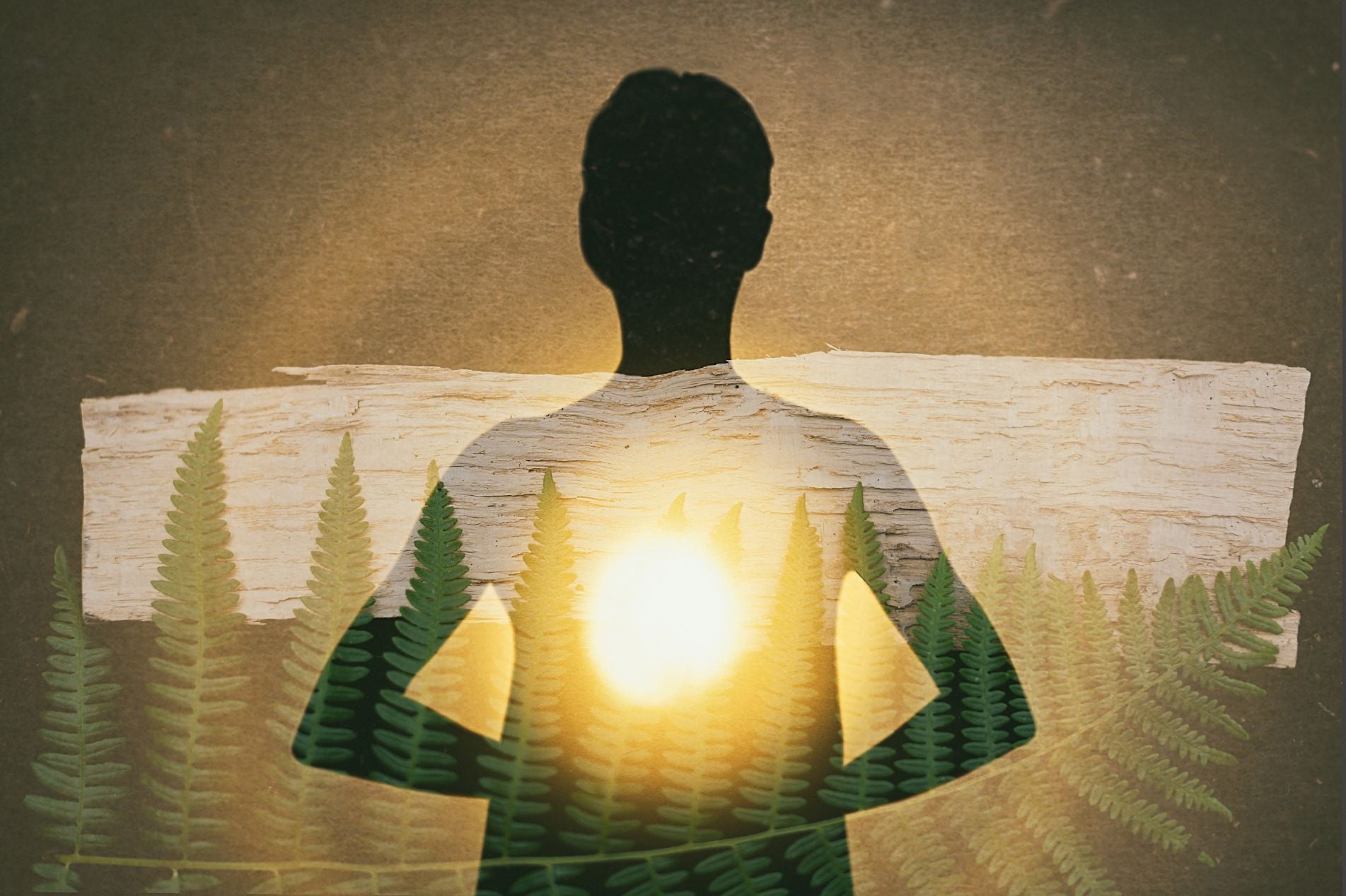 Divinity Self Unlocking Your Divine Self When You Don't Feel Seen – HovaveART